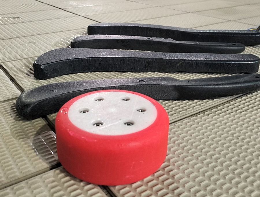 Hokej pod wodą Walenie 2024